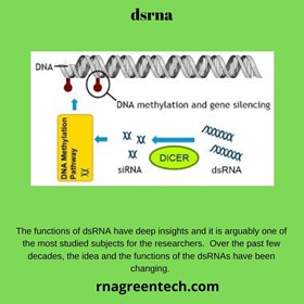 rnagreentech: rnagreentech